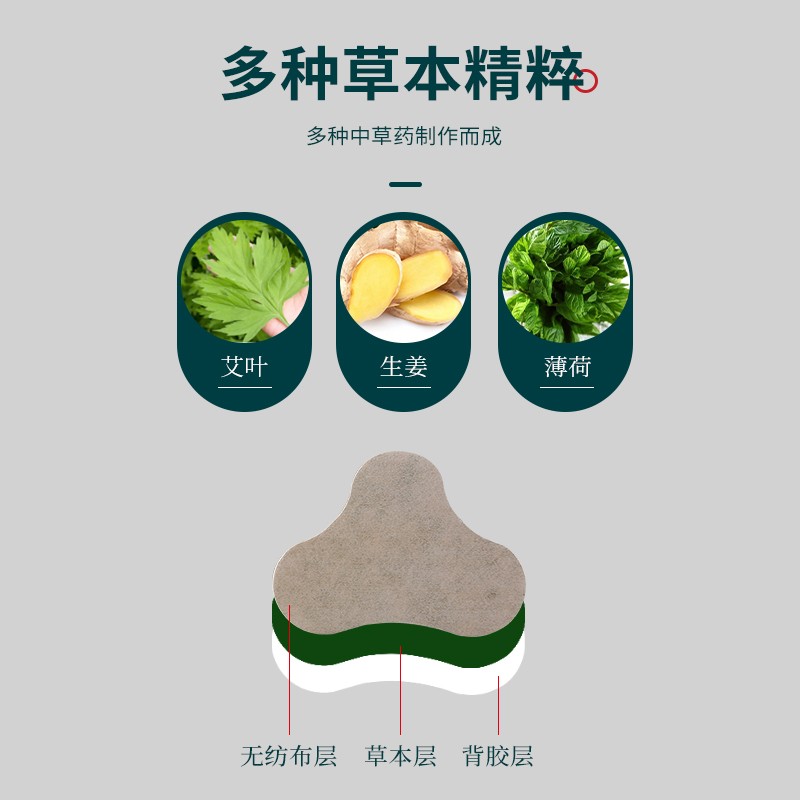 南京同仁堂生物科技 亦生堂 生姜艾草颈椎贴 12贴 膝盖贴 腰椎贴 艾灸贴 肩颈贴腰腿热敷贴艾叶贴温灸贴 