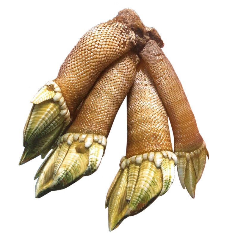 藤壶 Tenghu 京东精选商品