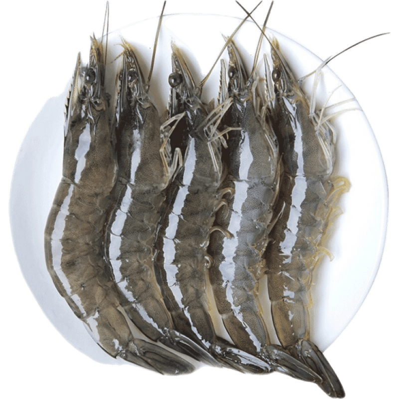 悦君心 新鲜活虾冷冻青岛基围虾 对虾白虾海鲜 净重3.6斤 11厘米左右