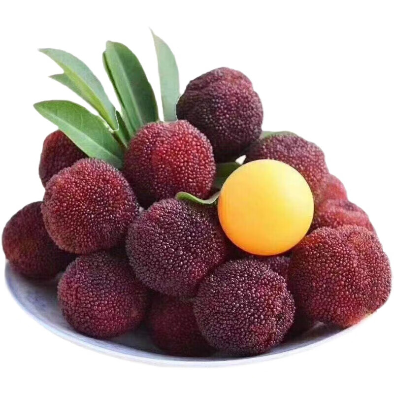 仙居东魁杨梅颗装乒乓球大果时令水果礼 3斤