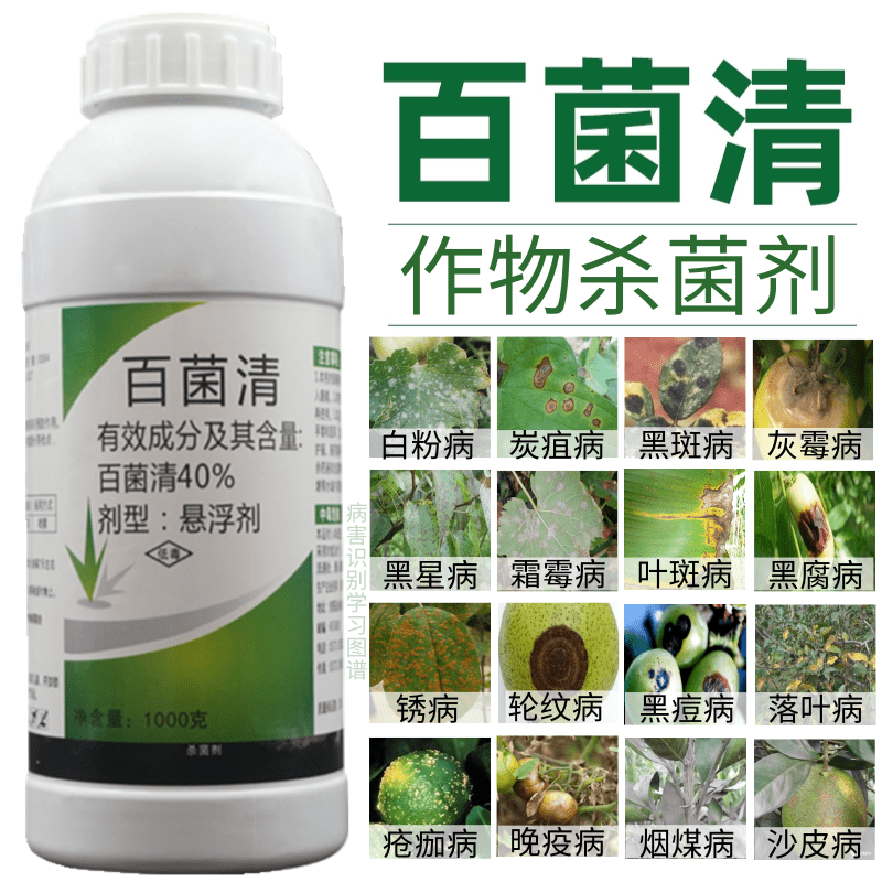40%百菌清果树蔬菜花卉杀菌剂防治锈病炭疽病叶斑病霜霉病叶斑病 500克/瓶高性价比高么？