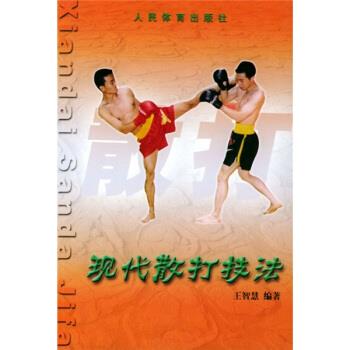 现代散打技法 王智慧 著【正版书】