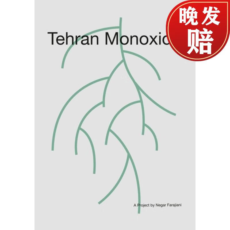 【4周达】tehran monoxide: a project by negar farajiani