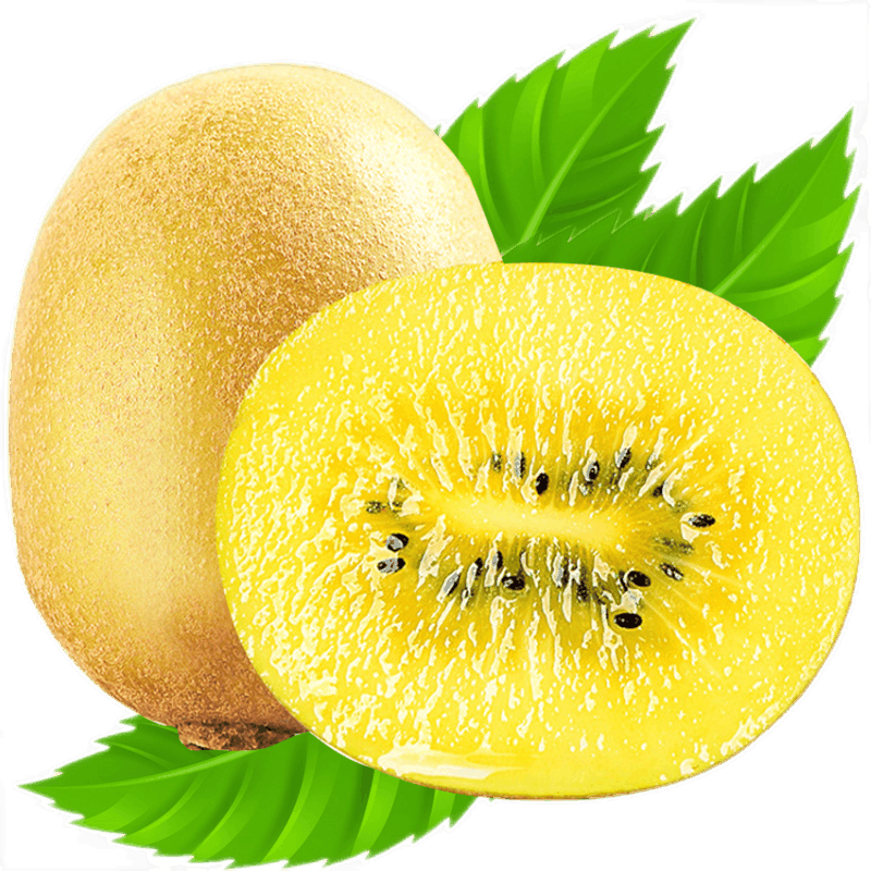 美诗妮 黄心猕猴桃 黄金金果奇异果 新鲜水果 猕猴桃 生鲜 水果 10个
