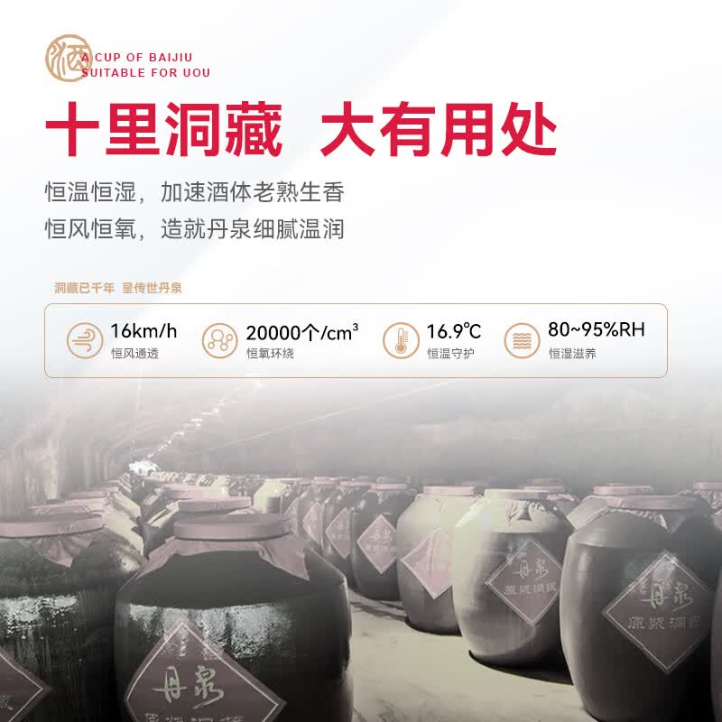 丹泉酒洞天酒海初心53°酱香型白酒500ml洞藏粮食酿端午送礼父亲节送礼 53度 500mL 6瓶 整箱【原盒原码】