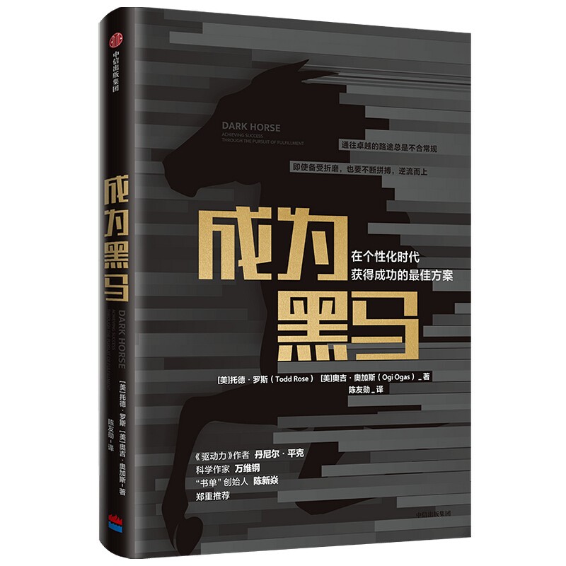 成为黑马 在个性化时代获得成功的方案
