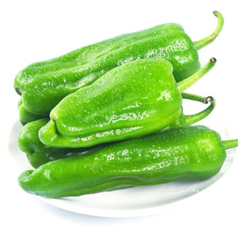 新鲜青椒5斤薄皮椒虎皮青辣椒大菜椒蔬菜助农家自种 5斤