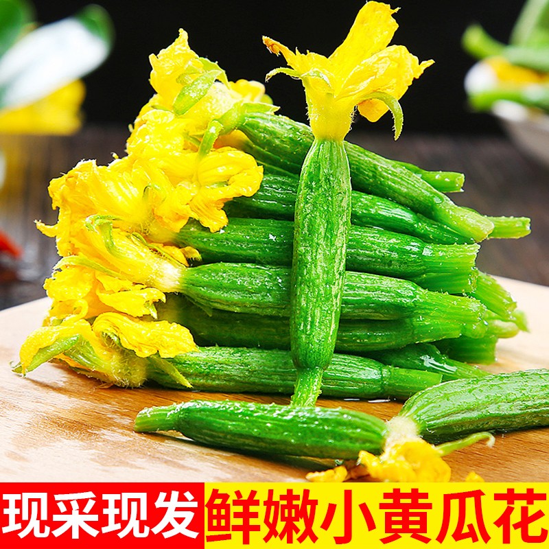 禧利郎迷你小黄瓜花新鲜嫩黄瓜花青瓜花乳瓜顶花新鲜蔬菜西餐厅生吃