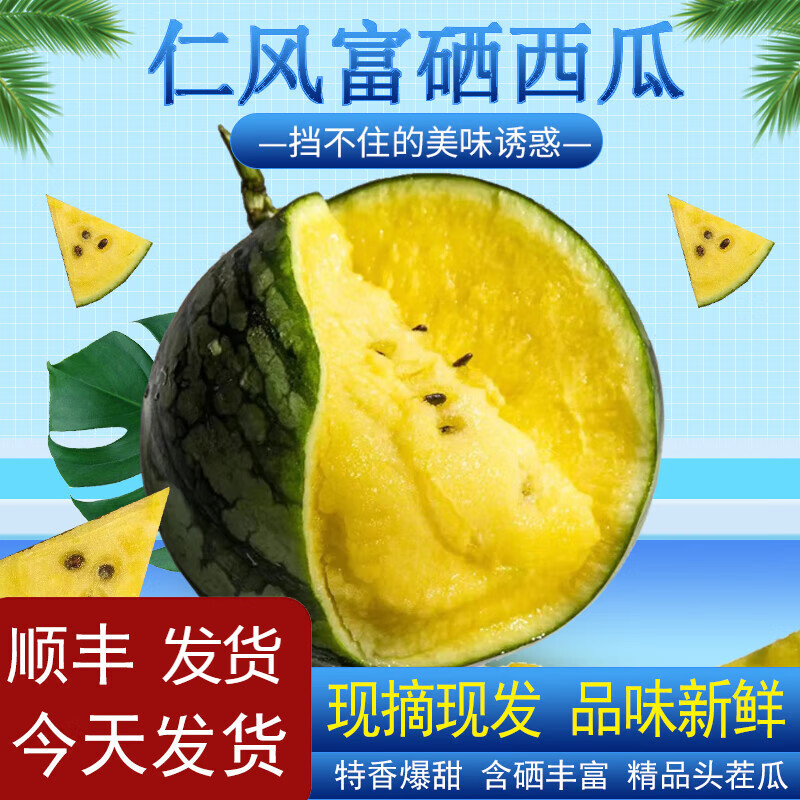 玫栀 正宗仁风富硒西瓜现摘黄瓤脆甜黑籽新鲜水果当季入口即化 3斤