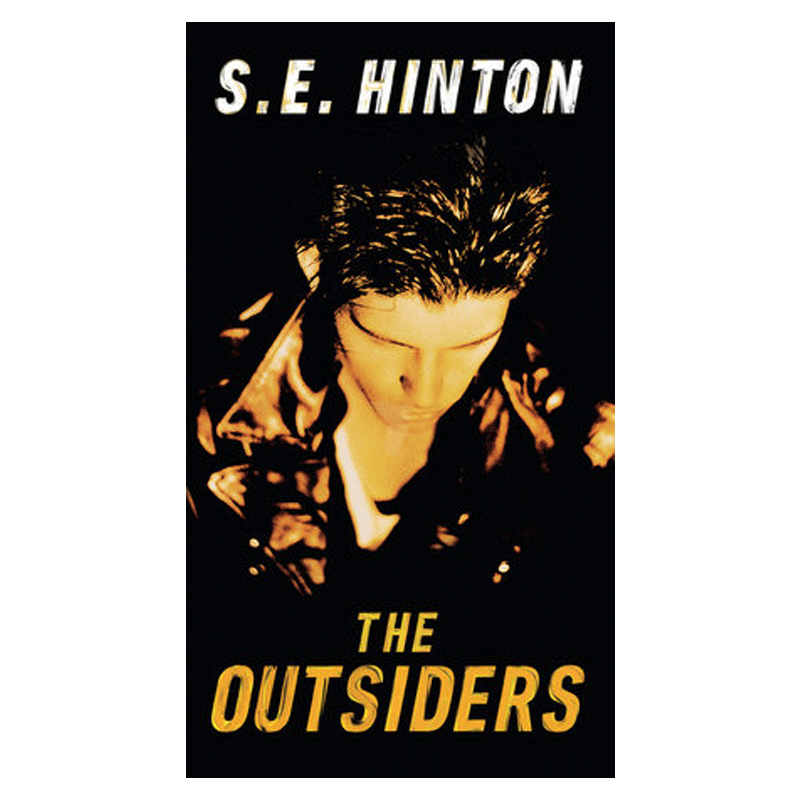 the outsiders 英文原版