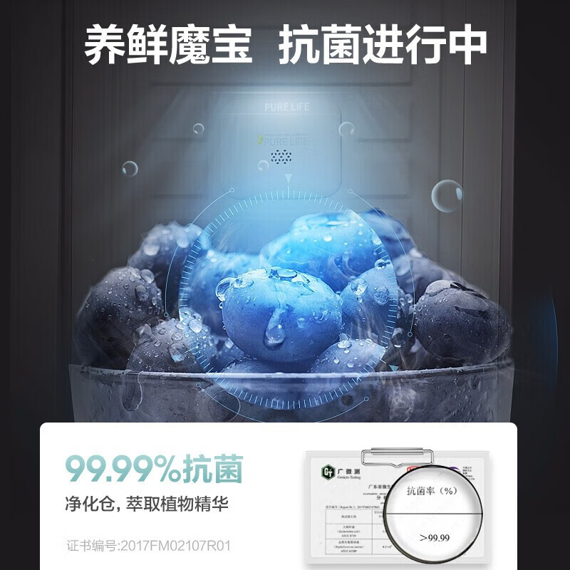 海信（Hisense） 206升一级家用双温冰柜 养鲜净化冷冻冷藏保鲜柜节能商用冷柜双开冰箱 大冷柜