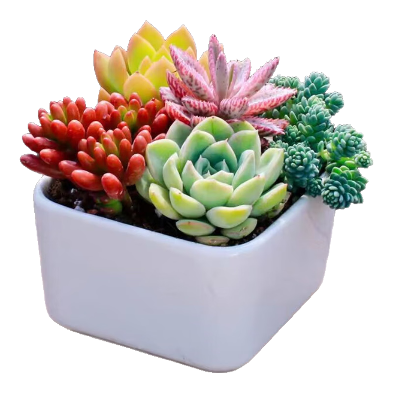 ���ڲ�������֮�����������������մ���+��֮��+��������+����+������+�� Դͷֱ�� 23.6Ԫ