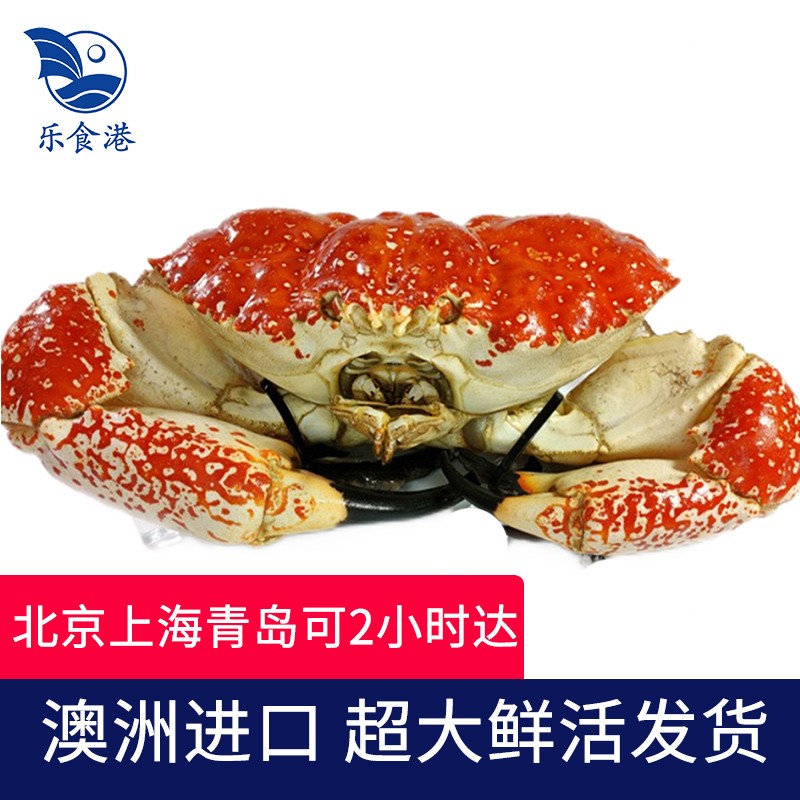 【活鲜】乐食港 澳洲进口鲜活 皇帝蟹 拟滨蟹大螃蟹 4.8-5.