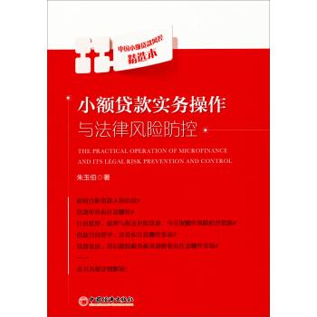 小额贷款实务操作与法律风险防控【正版】