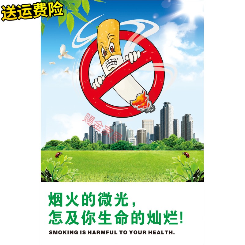 禁烟戒烟宣传海报禁止吸烟标语挂图吸烟有害健康宣传画标贴 jd-51 小