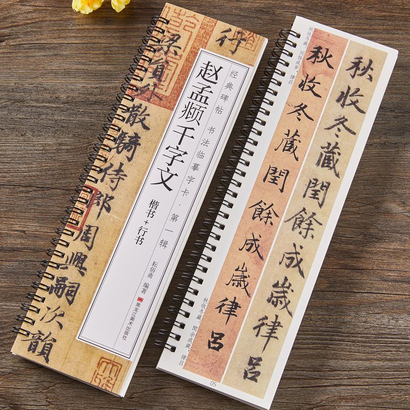 【现货可单选】唐怀仁集王羲之书圣教序赵孟