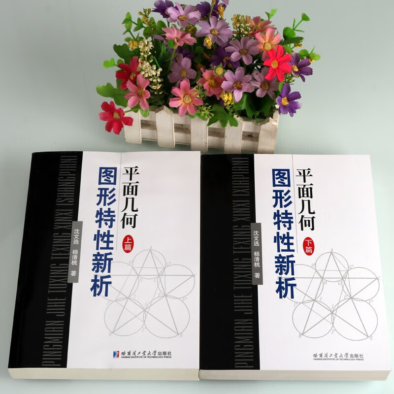 平面几何图形特性新析 上下篇 数学竞赛习题集 平面几何难题知识储备 哈尔滨工业大学出版社