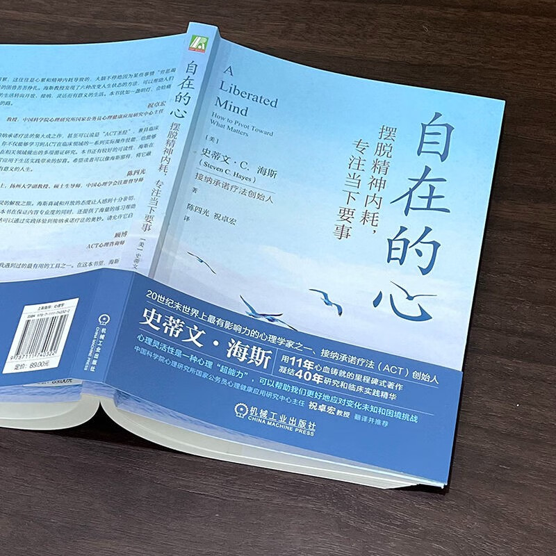自在的心：摆脱精神内耗，专注当下要事详情图