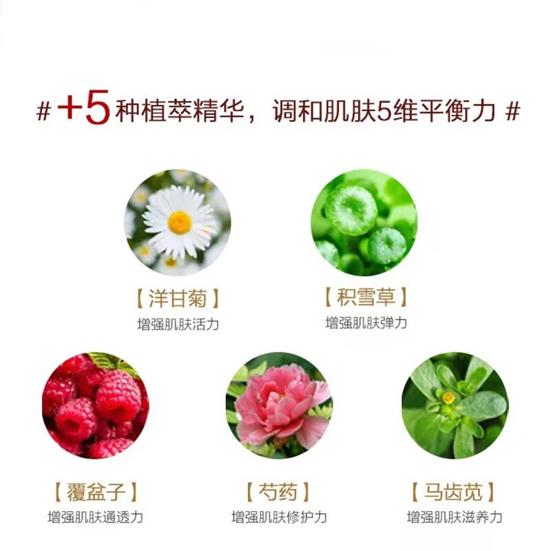秀丽韩桑树桑黄环采面霜提亮红润肤色改善暗沉粗糙淡化细纹滋润面霜50g