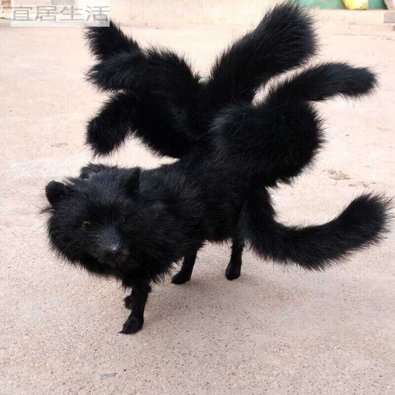 中号黑色九尾狐长40cm高14cm 均码