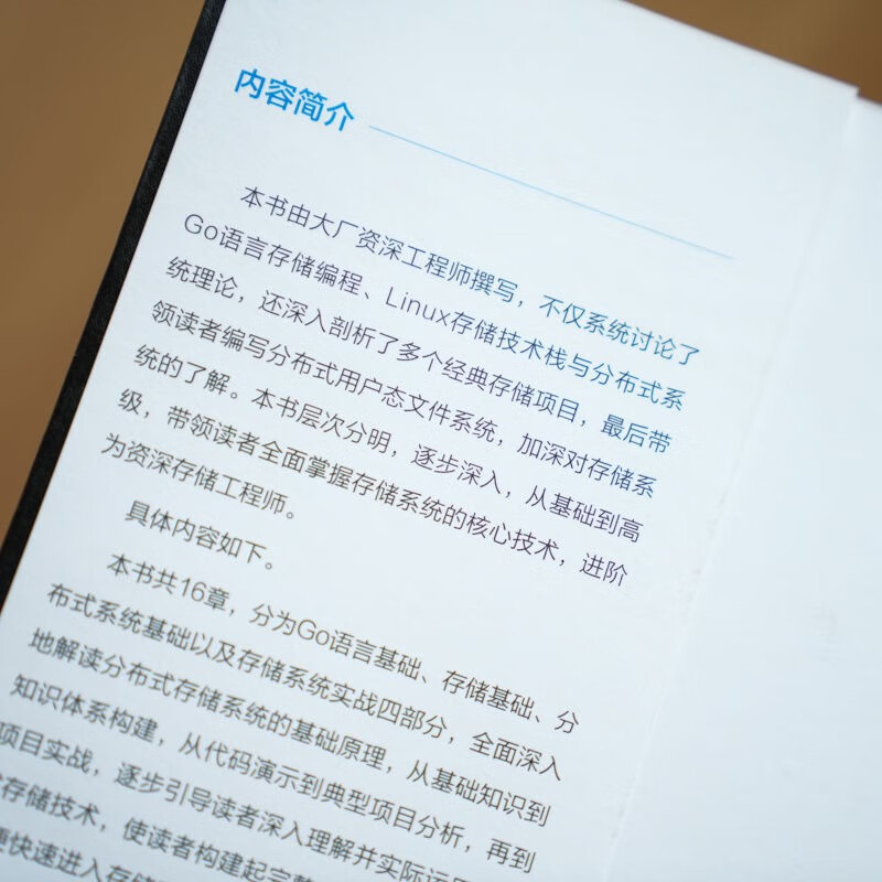 分布式存储系统：核心技术、系统实现与Go项目实战详情图