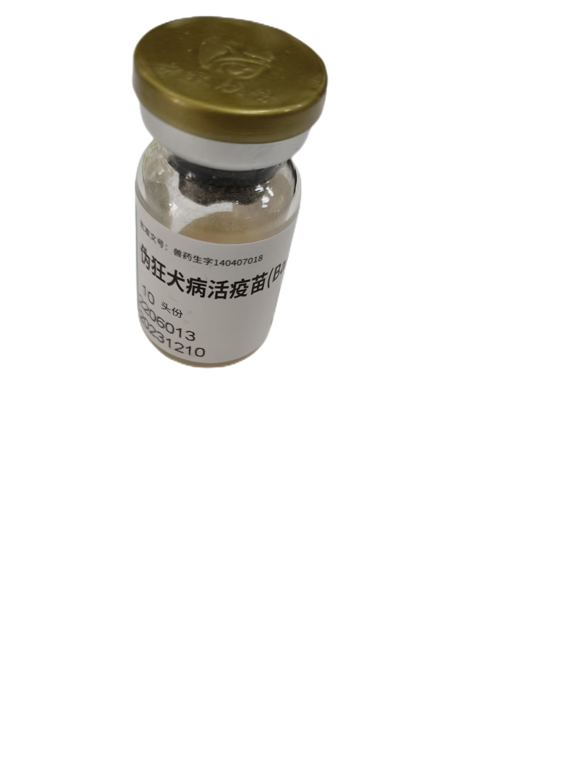 勋狸粑兽用伪狂犬疫苗(bartha-k61株)10头份 一瓶