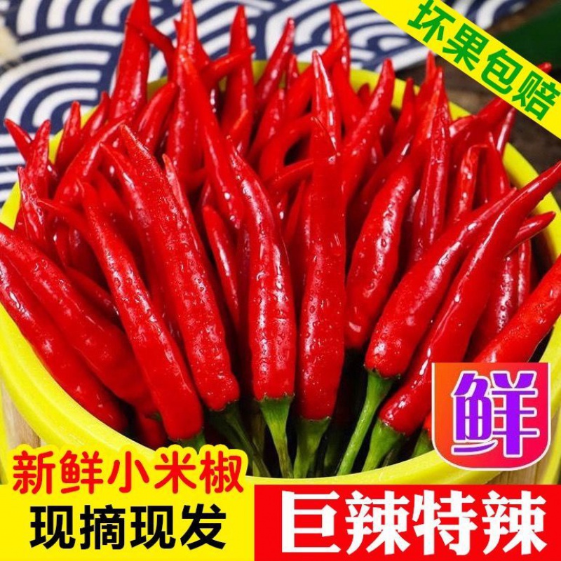 新鲜小米椒特辣小米辣鲜椒朝天椒红泡椒产地直发 小米