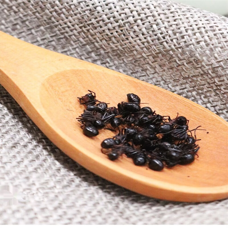 广西黑蚂蚁横县500g拟黑多刺蚁非长白山中药材干晒养身泡酒料磨粉