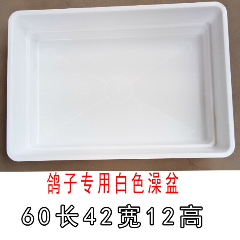 建功赛鸽信鸽专用大号澡盆 鸽子洗澡盆浴盆鸽子用品用具鸽具栖架站架