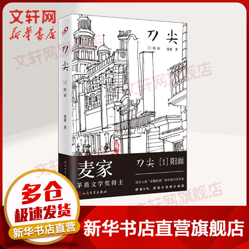刀尖1 阳面 麦家