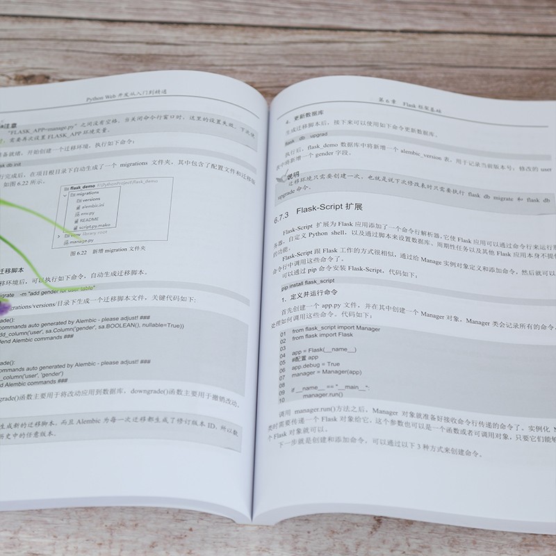 Python Web开发从入门到精通