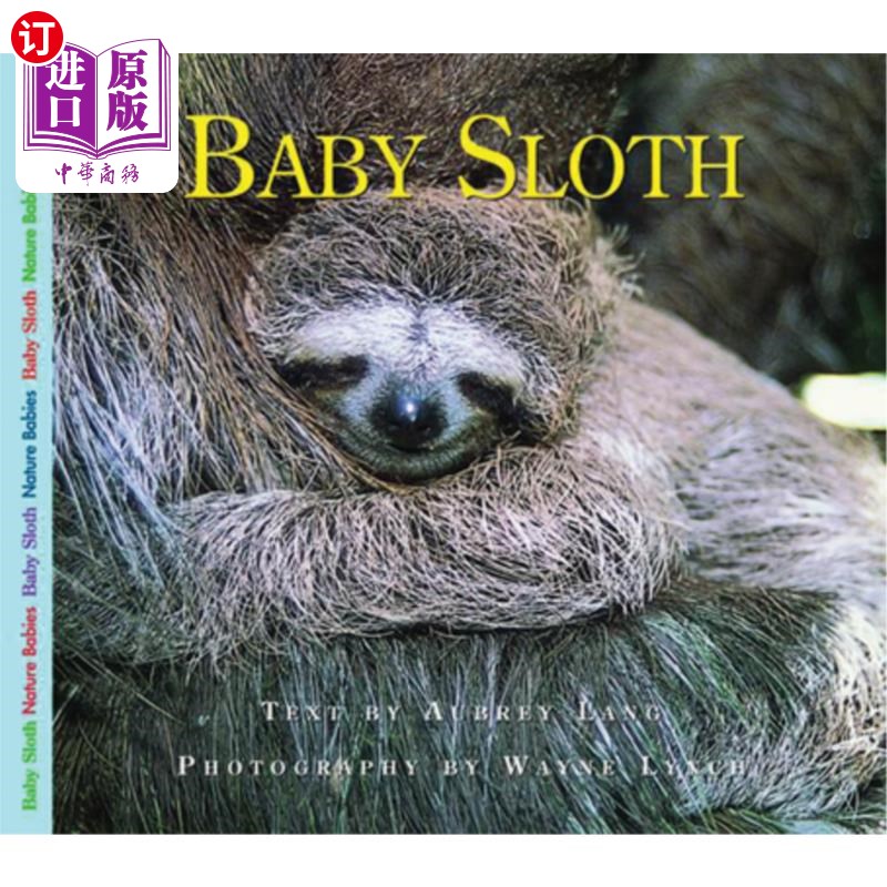 海外直订baby sloth 婴儿树懒