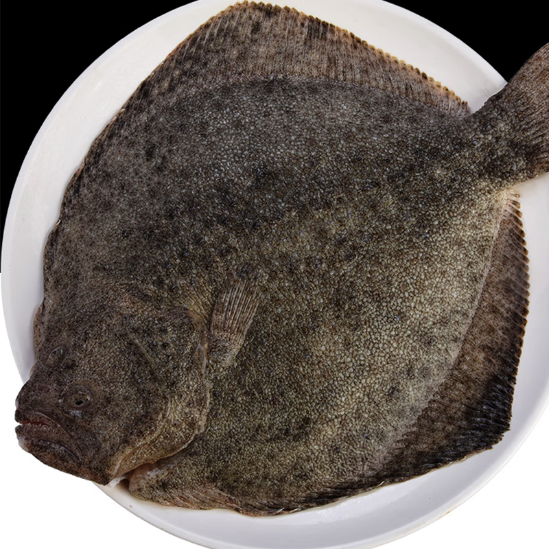 澳角大厝多宝鱼大菱鲆鸦片鱼深海鱼冷冻生鲜鱼类船冻新鲜清蒸 400g