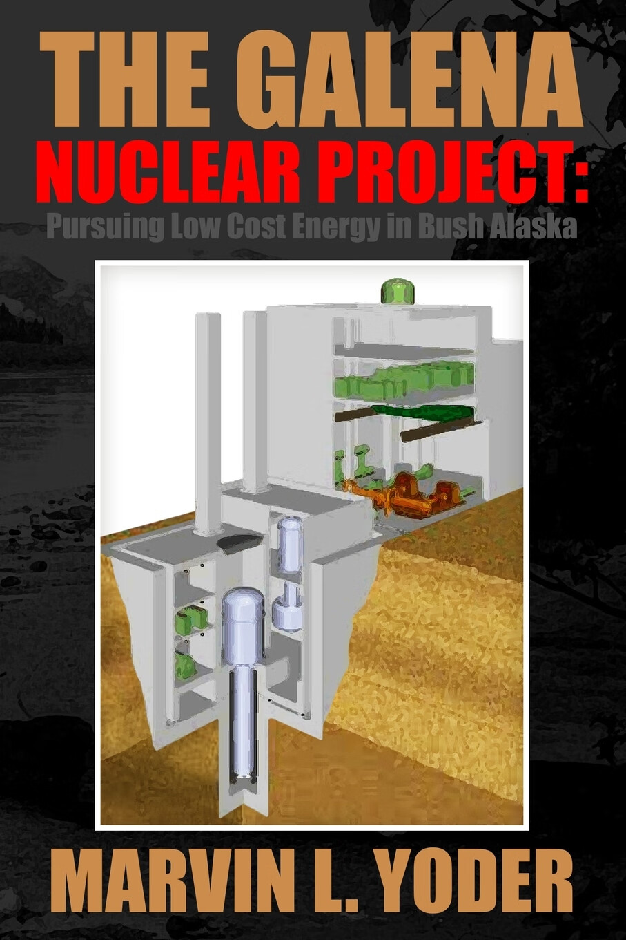 【预售 按需印刷】the galena nuclear project