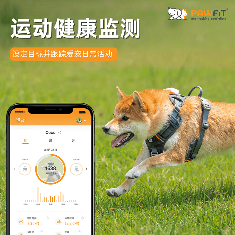 PAWFIT英国PAWFIT宠物定位器狗猫咪防丢语音召回gps追踪防丢运动监测 PAWFIT 3+专用项圈XL码