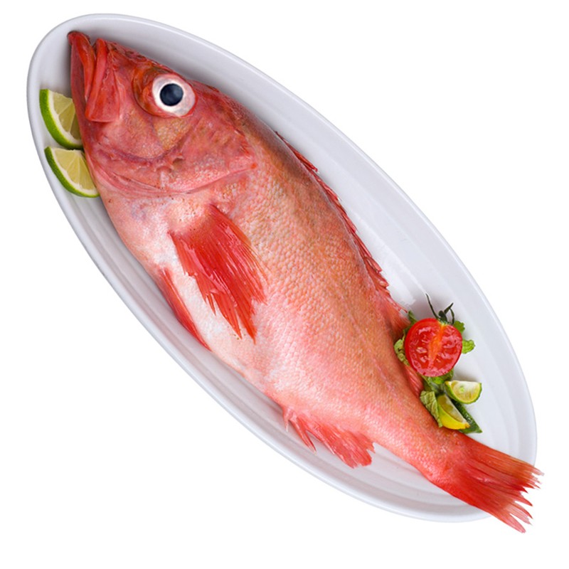 卖鱼郎先生 2份 降30】深海红石斑鱼 富贵鱼冰岛冷冻大眼鱼石斑鱼