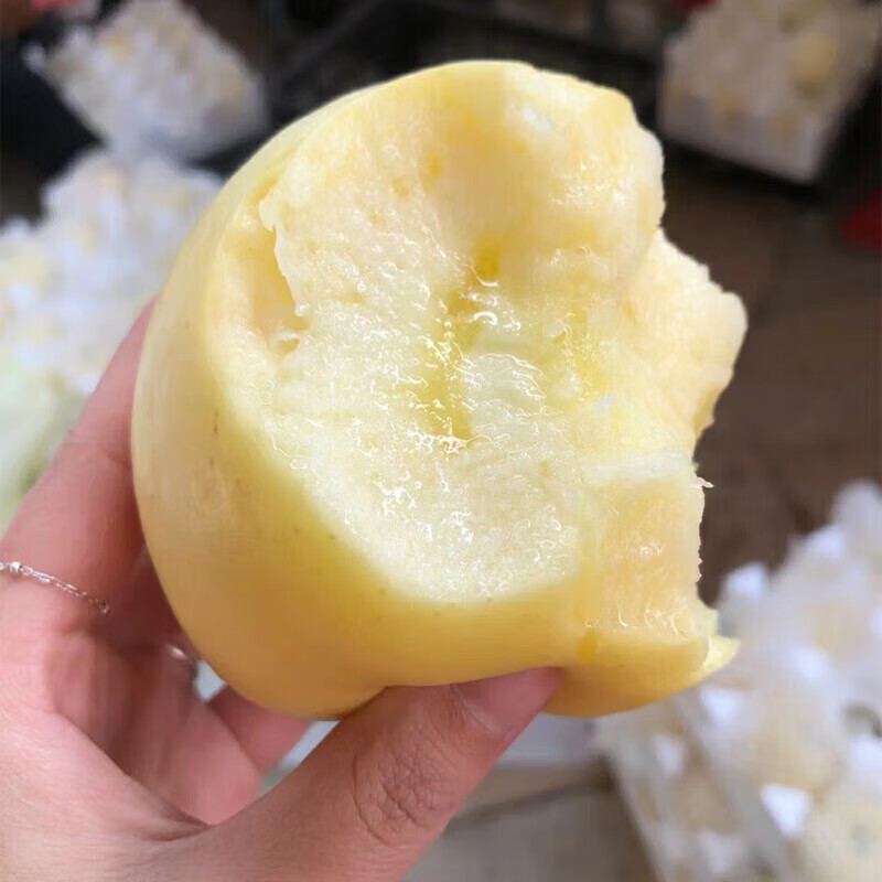 京蚨鲜山东烟台奶油富士苹果黄金苹果新鲜水果脆甜苹果 带箱9-10斤大果【80-85mm】净重8.5