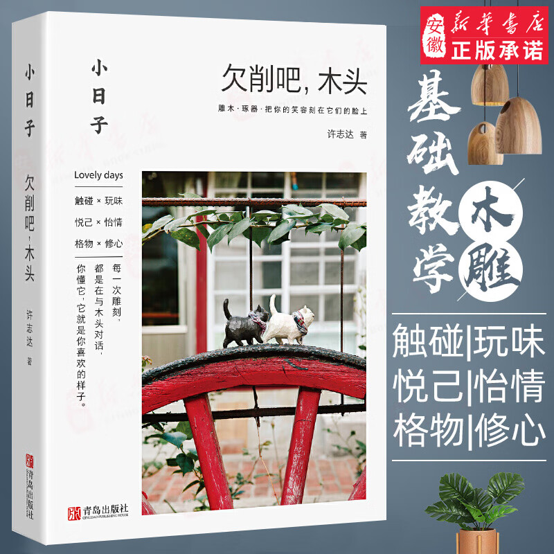 小日子 欠削吧木头 木雕入门教程书籍 木工雕刻初学者入门指南木雕