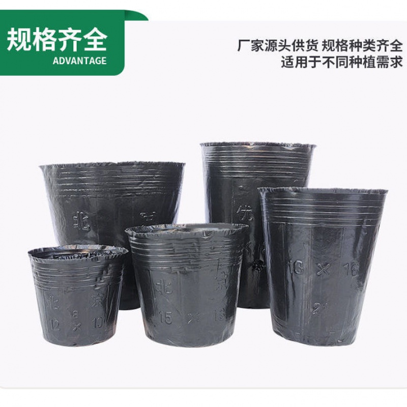 旭杉斯育苗杯营养杯育苗杯一次性加厚果树苗营养袋育苗袋塑料育苗营养