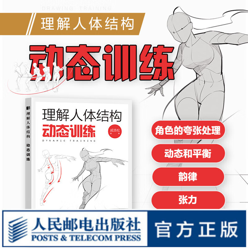理解人体结构 动态训练 人体结构绘画教学