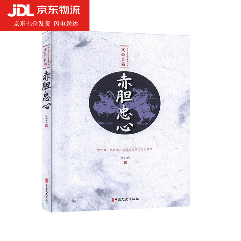 赤胆忠心 民国武侠小说典藏文库·文公直卷 文公直 著