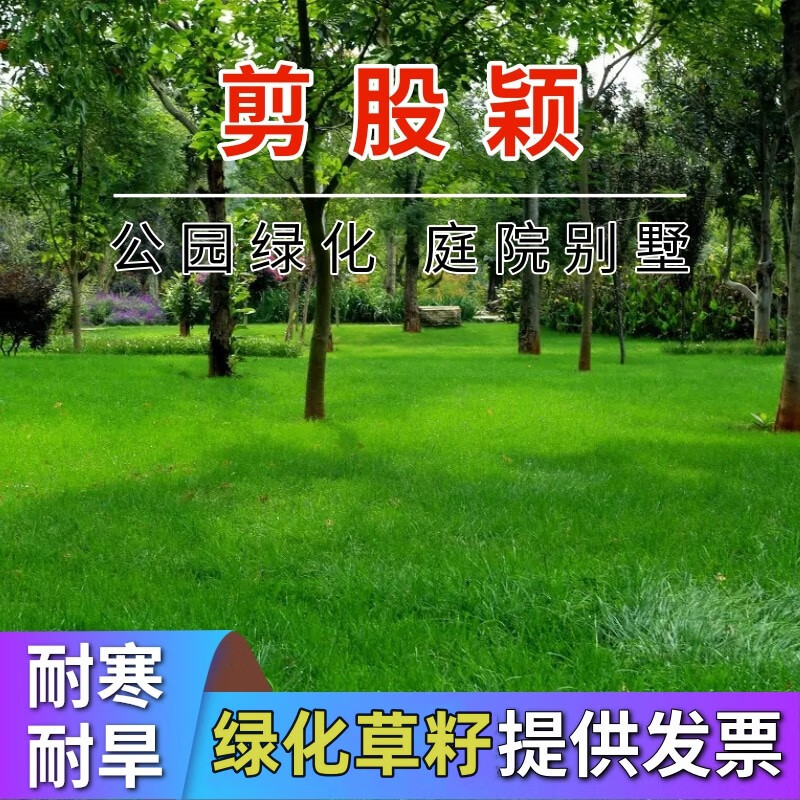 ڲƺӲļఫ޼ƺ̻̻ͺͼ̤   ӱ1ߵ 53Ԫ