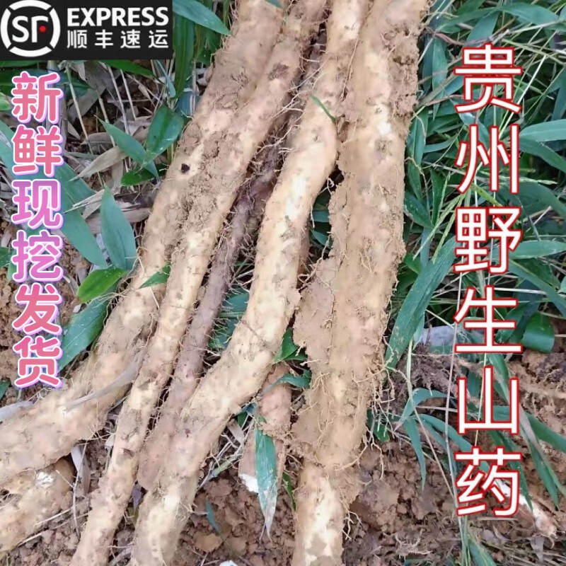 映棠贵州农村特产深山自然生长食用5000g新鲜野生山药山菜粉糯山薯