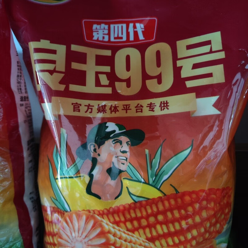第四代丹东良玉99抗虫升级版抗锈病高温干旱热害抗倒伏不秃尖抗病