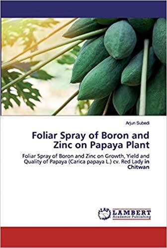预订Foliar Spray of Boron and Zinc on Papaya Plant