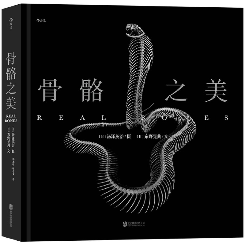 【官方】骨骼之美(精) 艺术美学 摄影科