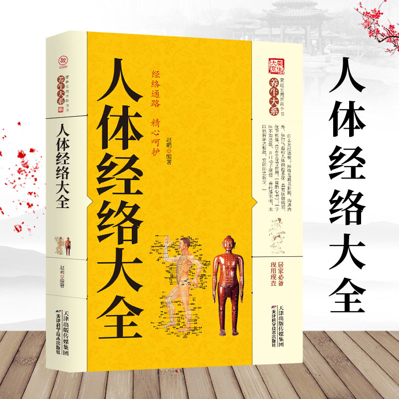 正版现货养生大系人体经络大全图解手法 经络穴位快速记忆 全身经络