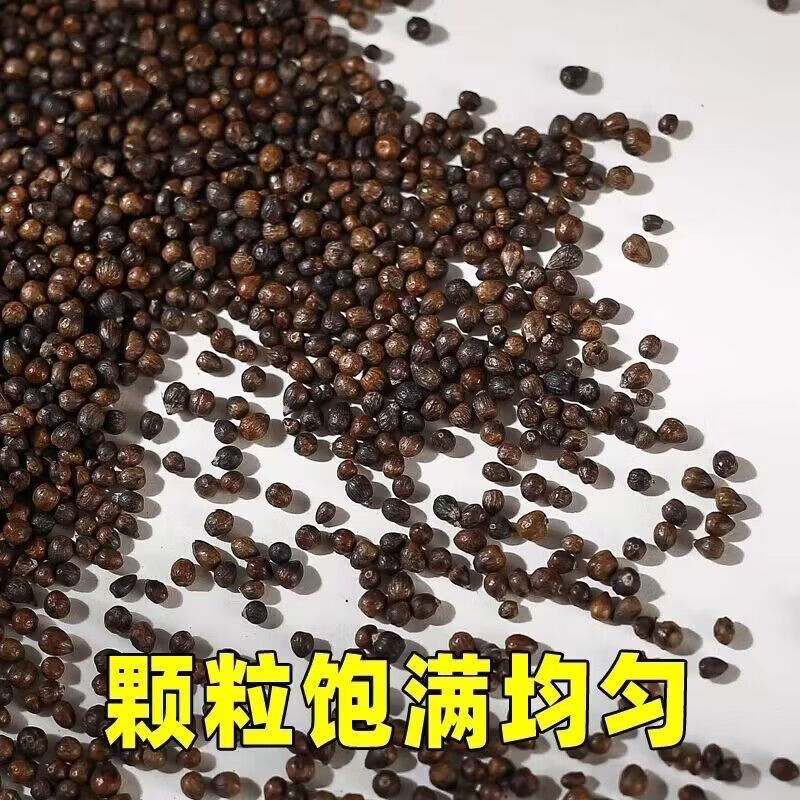 北京同仁堂淫羊藿籽无硫中药材泡茶泡酒煲汤养生滋补男士专用 精选