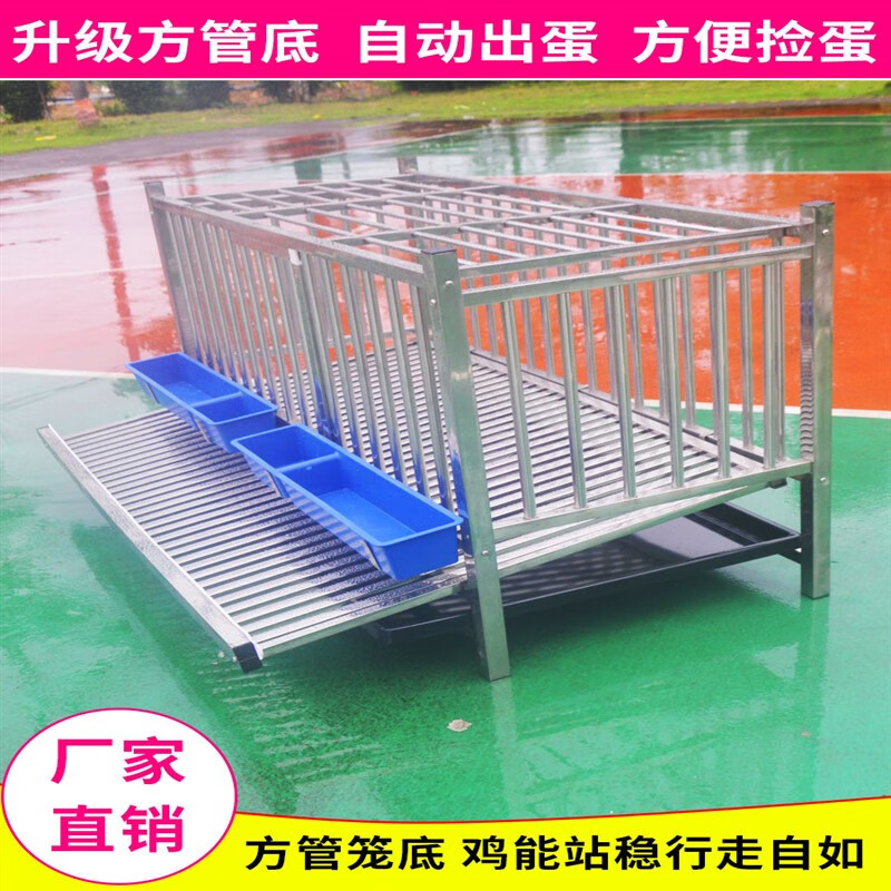 hkml不锈钢鸡笼子家用室外滚蛋大号特大蛋鸡养殖笼自动出蛋养殖场多层