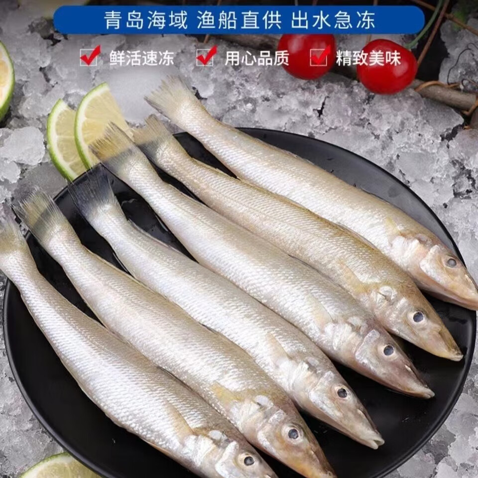 品京鲜新鲜沙丁鱼冷冻沙尖鱼真空速冻冰鲜沙钻鱼青岛海鲜水产 2斤装